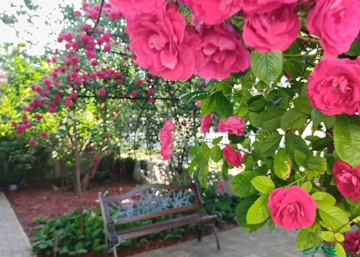 Berta Panzio 3* Hajdúszoboszló